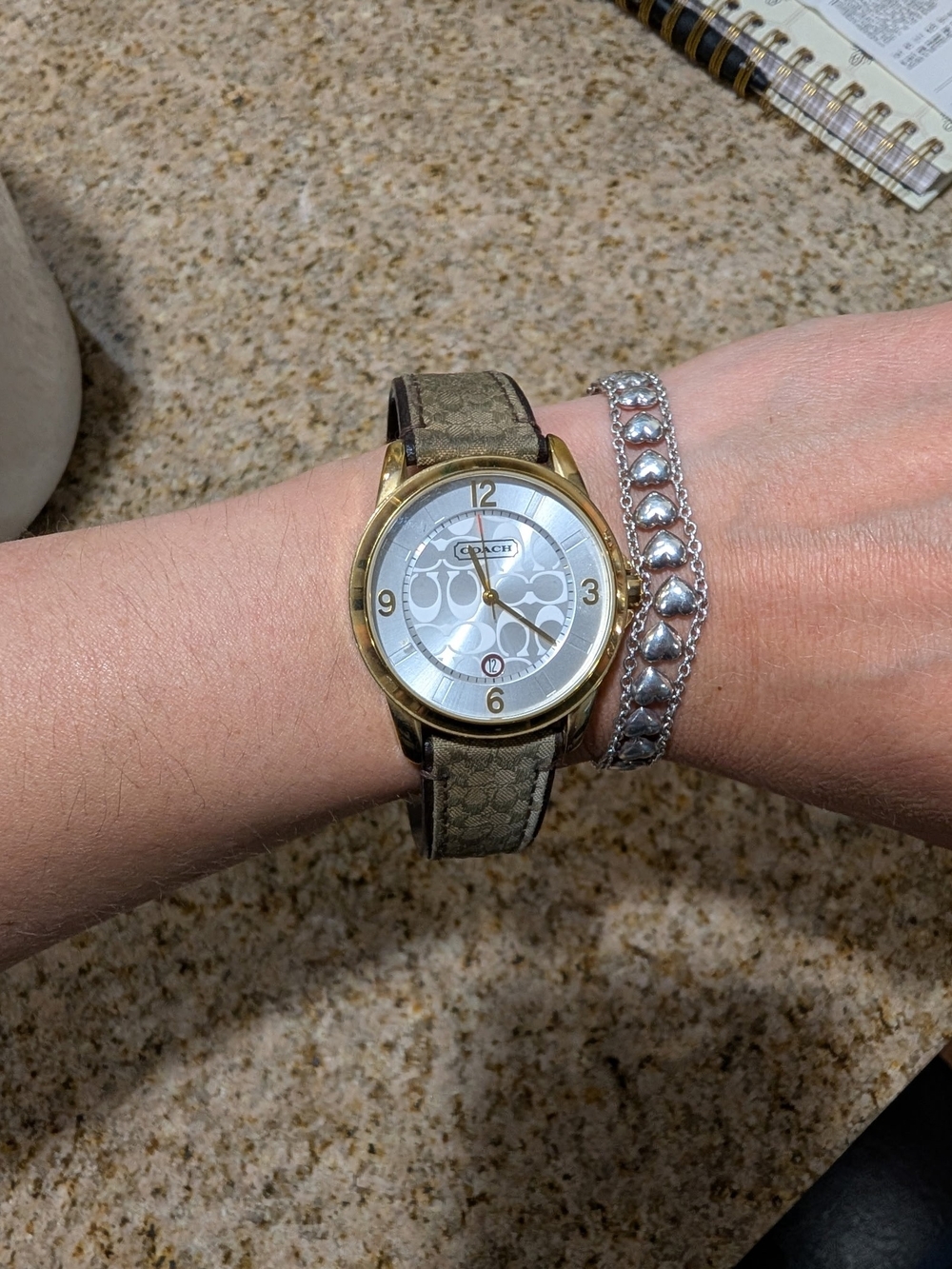 Coach Watch